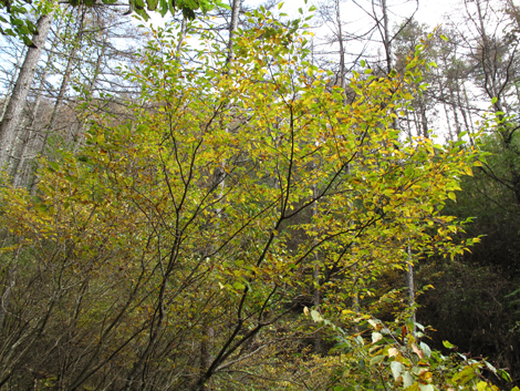 20171012hike (136)